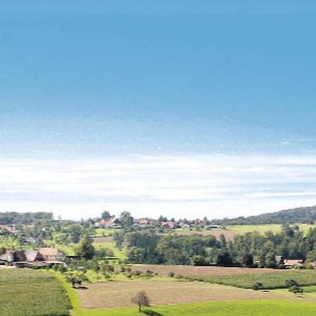 Gasthaus Pension Heidhof Freiamt Kültér fotó